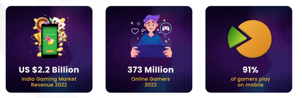 Indian gamer statistics